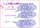 발마사지의 특징과 효과분석(A+발표) 17페이지