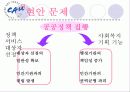 사회복지사무소(A+발표) 29페이지