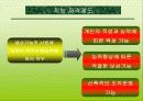 유한킴벌리 조직구조와 조직문화분석(A+발표) 14페이지