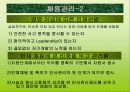 유한킴벌리 조직구조와 조직문화분석(A+발표) 21페이지