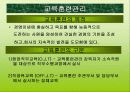 유한킴벌리 조직구조와 조직문화분석(A+발표) 32페이지