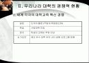 우리나라대학의 문제점과 경쟁력제고 방안 4페이지