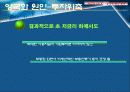 양극화 해소 정책 11페이지