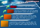 양극화 해소 정책 21페이지