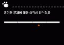 유기견 문제 7페이지