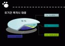 유기견 문제 8페이지