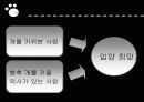 유기견 문제 14페이지