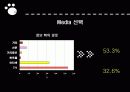 유기견 문제 17페이지