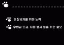 유기견 문제 18페이지