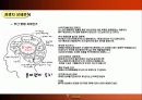 FC서울 마케팅 기획안 21페이지