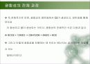 광합성의 메커니즘 9페이지