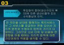중앙과 지방간 사무배분 10페이지