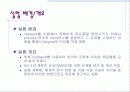 Catapult Test - 6sigma(6시그마) 2페이지
