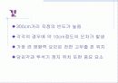 Catapult Test - 6sigma(6시그마) 14페이지