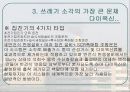 쓰레기 소각장의 건설 다이옥신의 배출 지역 이기주의와의 관계 13페이지