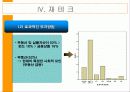 대학생경제관조사 17페이지