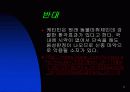 마약합법화,필요한가 11페이지
