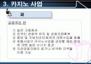 스포츠레저심리학 카지노(Casino) 14페이지
