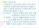 직업상담기법 17페이지