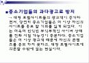 독과점 포털사이트에 대한 공적규제 5페이지