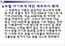 독과점 포털사이트에 대한 공적규제 9페이지