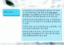 음반 산업의 현재와 미래 15페이지