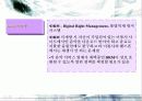 음반 산업의 현재와 미래 16페이지