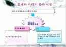 음반 산업의 현재와 미래 19페이지