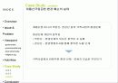 호남고속철 개통에 따른 계룡산 터널공사의 환경파괴이슈 15페이지