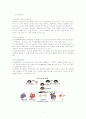 인간복제의 긍정적, 부정적인 측면 2페이지