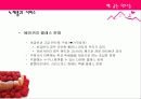 베이커리 가상창업 및 마케팅계획서 8페이지
