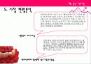 베이커리 가상창업 및 마케팅계획서 9페이지