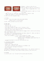 치아미백(Dental Bleaching) 3페이지