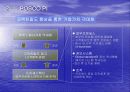 POSCO의 ERP 9페이지