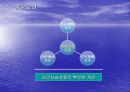 POSCO의 ERP 13페이지
