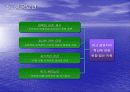 POSCO의 ERP 15페이지