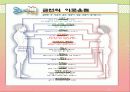 여성의 흡연과 금연교육 10페이지