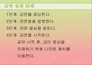 여성의 흡연과 금연교육 14페이지