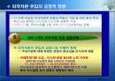 외국자본의 허와 실 어떻게 대처해야 할 것인가? 27페이지
