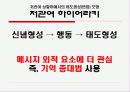 미녀는 석류를 좋아해 CF의 성공 이유와 전략적 방향 제시 11페이지