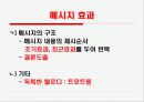 미녀는 석류를 좋아해 CF의 성공 이유와 전략적 방향 제시 13페이지