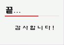 미녀는 석류를 좋아해 CF의 성공 이유와 전략적 방향 제시 21페이지