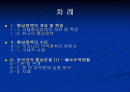 한국의 통상정책 2페이지