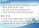 학교폭력의 대책 28페이지