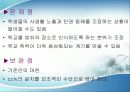 학교폭력의 대책 30페이지