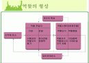 소집단과 팀행동 4페이지