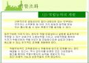 소집단과 팀행동 8페이지