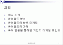 싸이월드의 성공적 마케팅 2페이지