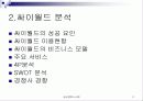 싸이월드의 성공적 마케팅 11페이지