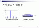 싸이월드의 성공적 마케팅 13페이지